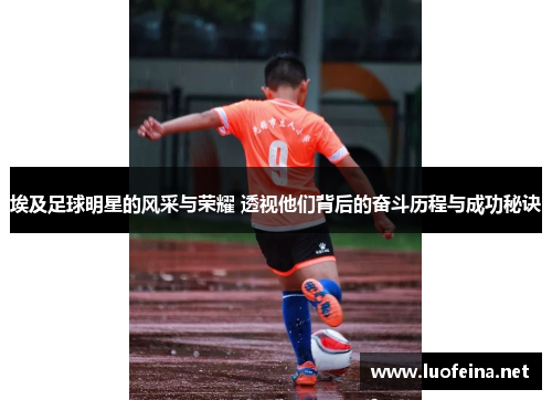 埃及足球明星的风采与荣耀 透视他们背后的奋斗历程与成功秘诀