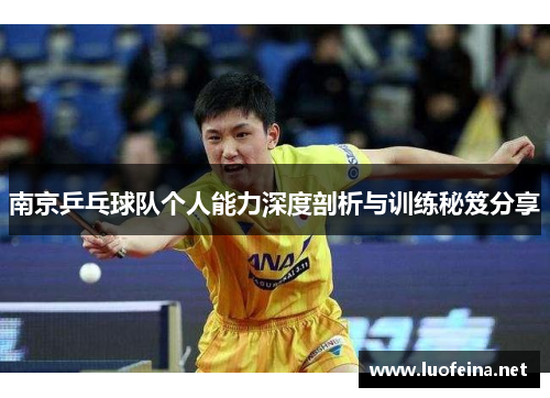 南京乒乓球队个人能力深度剖析与训练秘笈分享